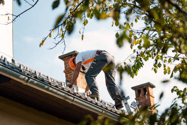 Best Metal Roofing Contractor  in Lake Mills, WI